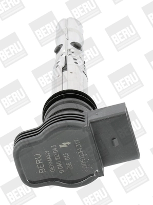 Süütepool BorgWarner (BERU) ZSE043