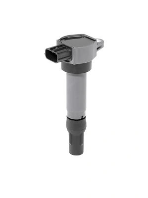 Süütepool BorgWarner (BERU) ZSE206