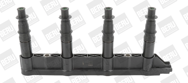 Süütepool BorgWarner (BERU) ZS472