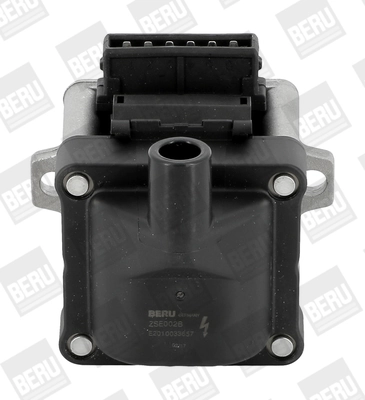 Süütepool BorgWarner (BERU) ZSE002B