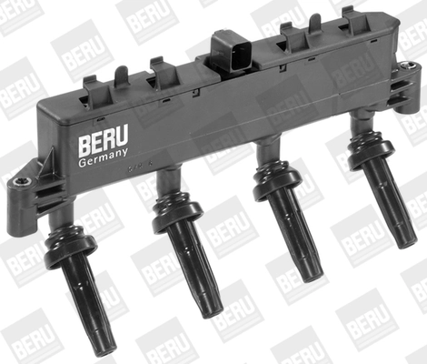 Süütepool BorgWarner (BERU) ZSE048