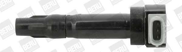 Süütepool BorgWarner (BERU) ZS547
