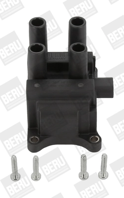 Süütepool BorgWarner (BERU) ZS387
