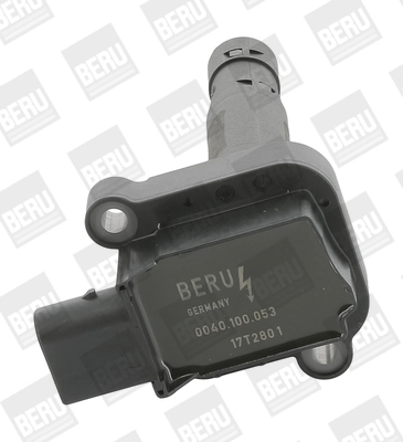 Süütepool BorgWarner (BERU) ZS053