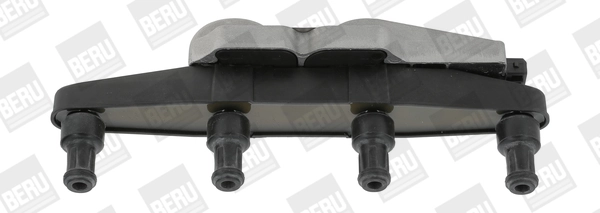 Süütepool BorgWarner (BERU) ZSE039