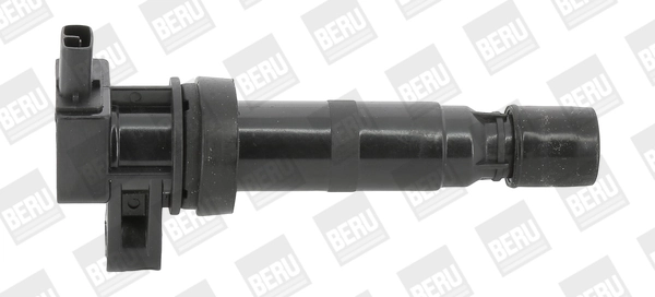 Süütepool BorgWarner (BERU) ZS531