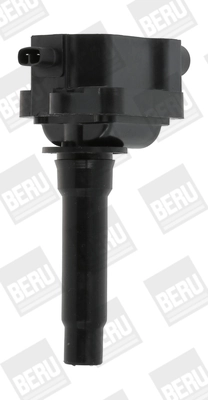 Süütepool BorgWarner (BERU) ZS434