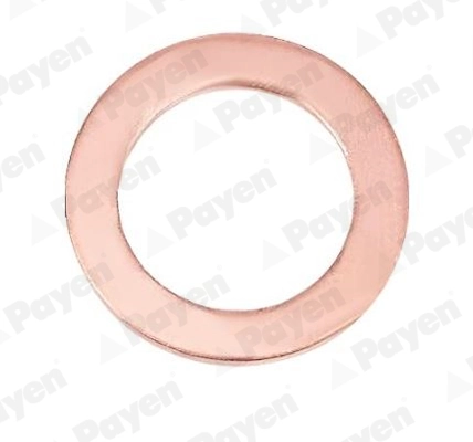 Rõngastihend PAYEN KG5095