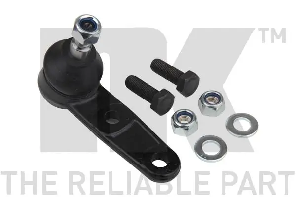 Kande-/juhtliigend NK 5045002