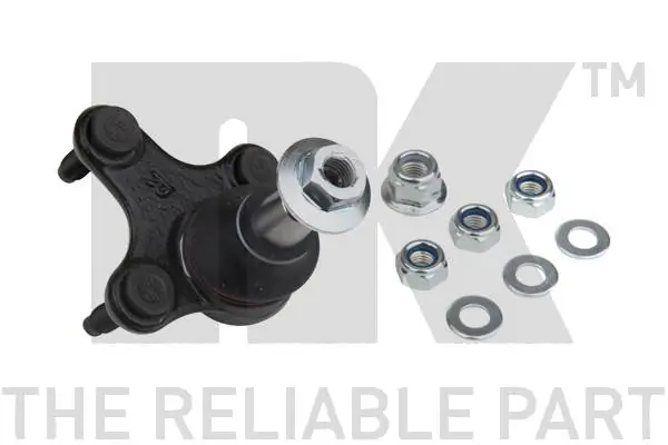 Kande-/juhtliigend NK 5044750