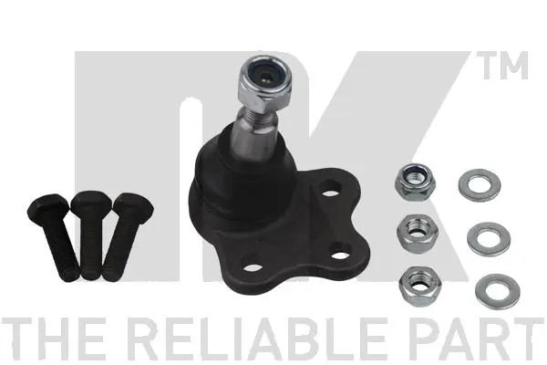 Kande-/juhtliigend NK 5042532