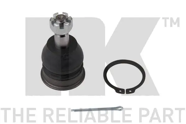 Kande-/juhtliigend NK 5045202