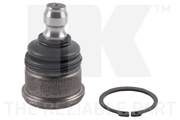 Kande-/juhtliigend NK 5043204