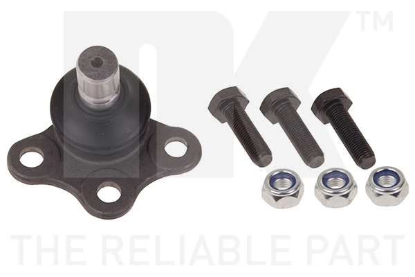 Kande-/juhtliigend NK 5041920