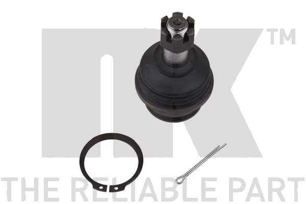 Kande-/juhtliigend NK 5044545