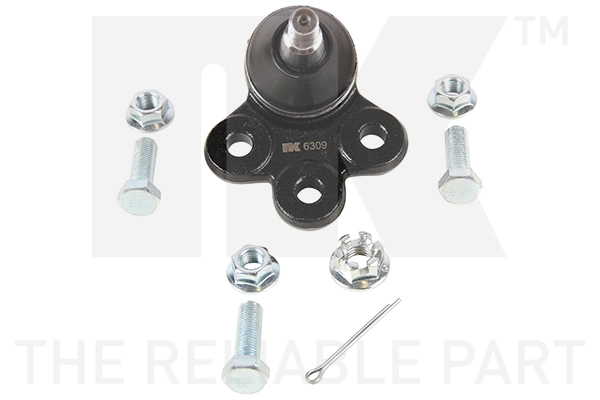Kande-/juhtliigend NK 5045006