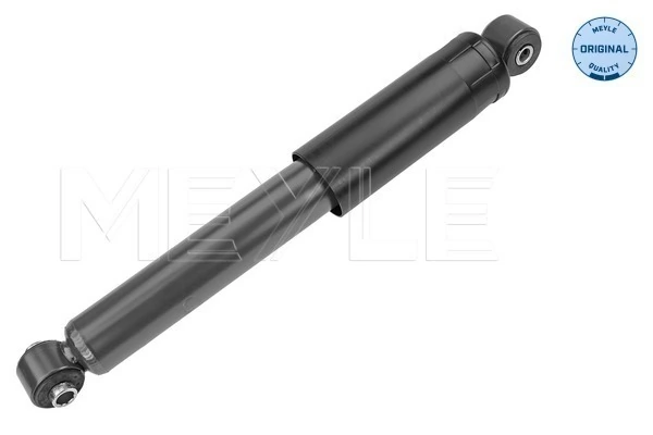 Amort MEYLE 226 725 0009