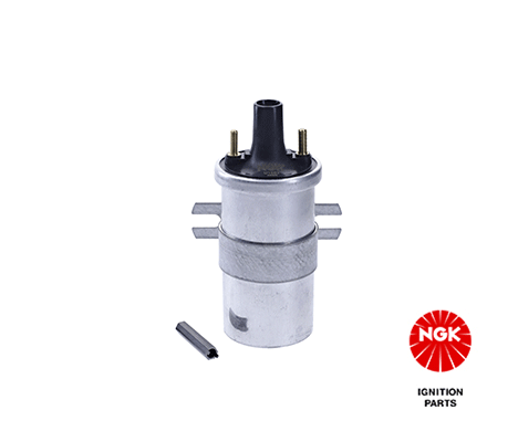 Süütepool NGK 48346