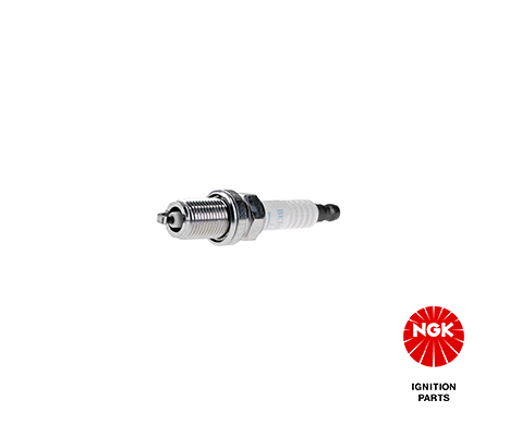 Süüteküünal NGK 6313