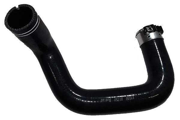 Laadimisõhu voolik BUGIAD 81750