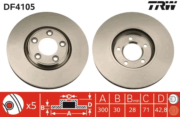 Piduriketas TRW DF4105
