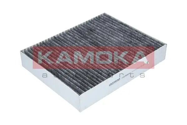Filter, salongiõhk KAMOKA F509501