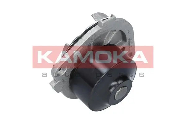 Veepump, mootori jahutus KAMOKA T0113
