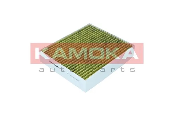 Filter, salongiõhk KAMOKA 6080088