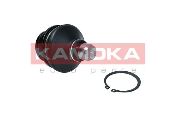Kande-/juhtliigend KAMOKA 9040006