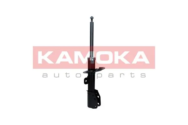 Amort KAMOKA 2001109