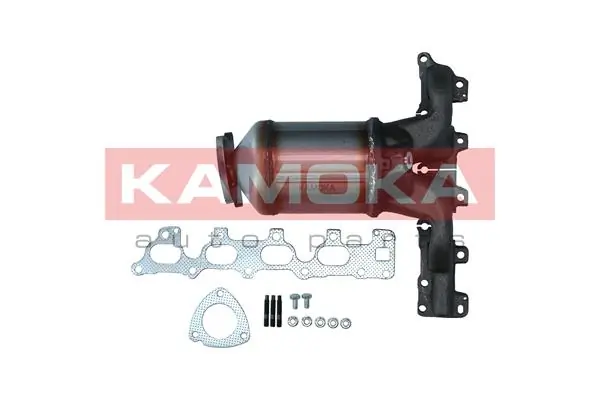 Katalüsaator KAMOKA 8015028