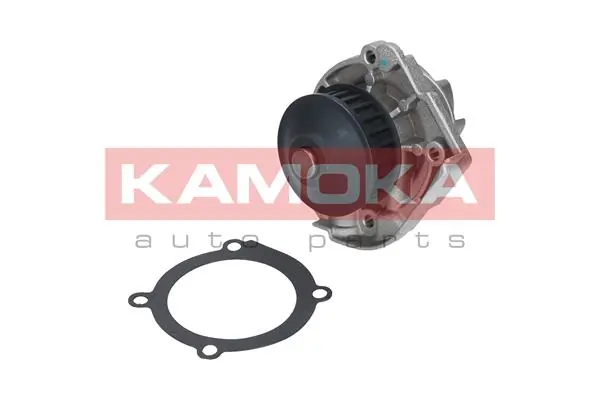 Veepump, mootori jahutus KAMOKA T0118