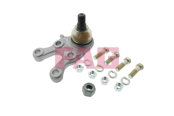 Kande-/juhtliigend Schaeffler FAG 825 0031 10