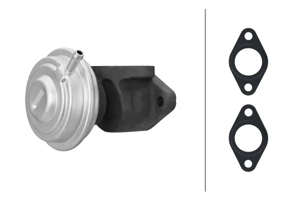 EGR-klapp HELLA 6NU 014 865-441