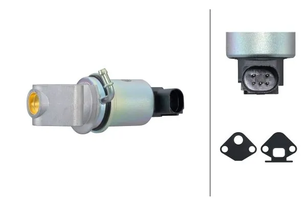 EGR-klapp HELLA 6NU 014 865-431