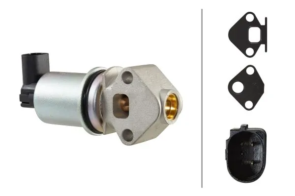 EGR-klapp HELLA 6NU 010 171-501