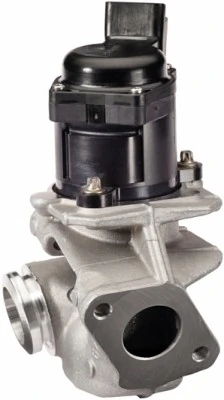 EGR-klapp HELLA 6NU 010 171-121
