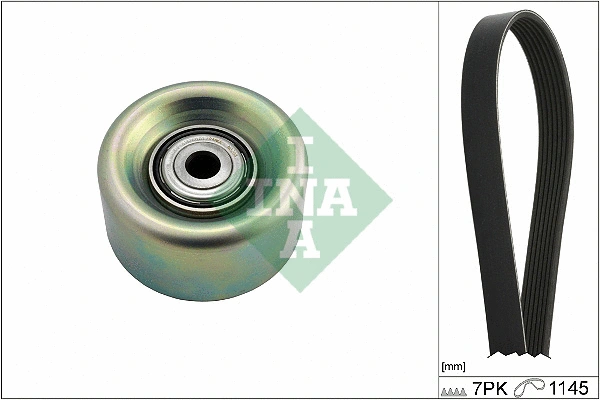 Soonrihmakomplekt Schaeffler INA 529 0272 10