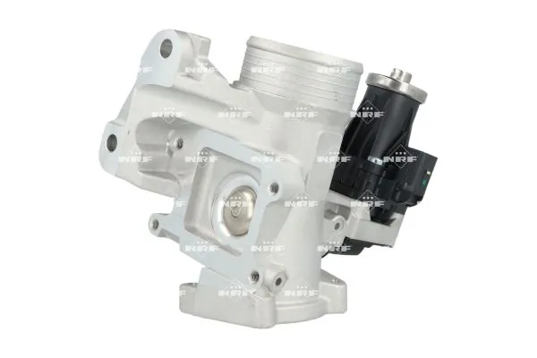 EGR-klapp NRF 48738