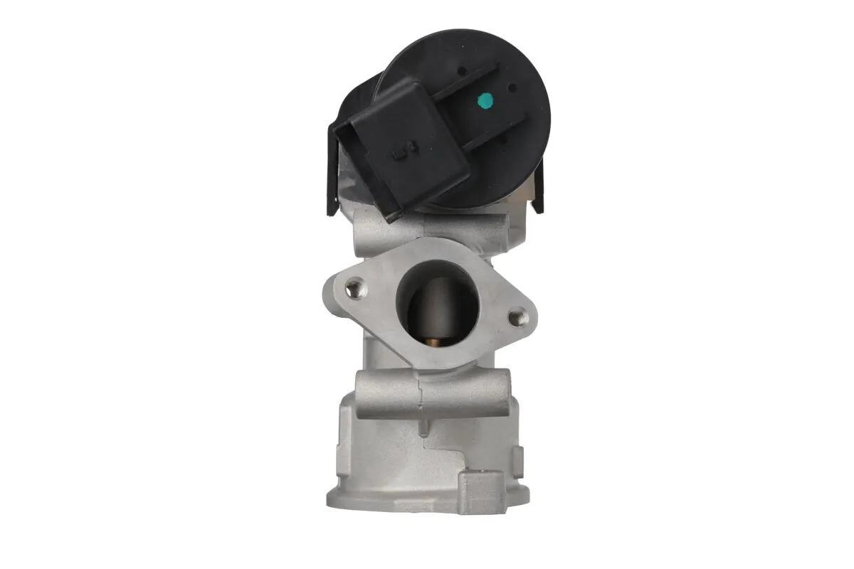 EGR-klapp VALEO 703212