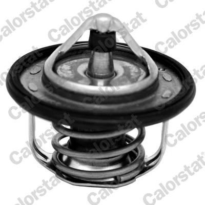 Termostaat, Jahutusvedelik CALORSTAT by Vernet TH7300.95J