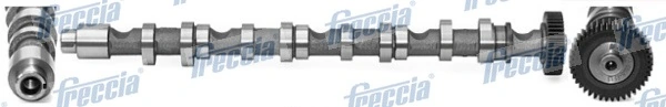 Nukkvõll FRECCIA CM05-2196