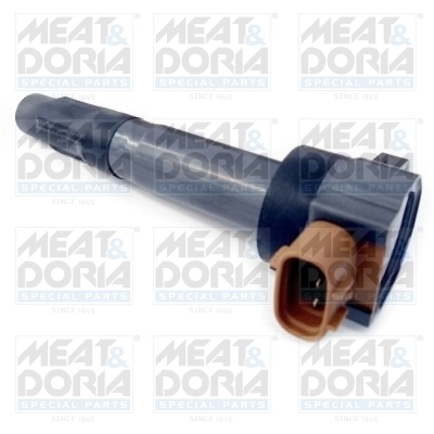 Süütepool MEAT & DORIA 10760