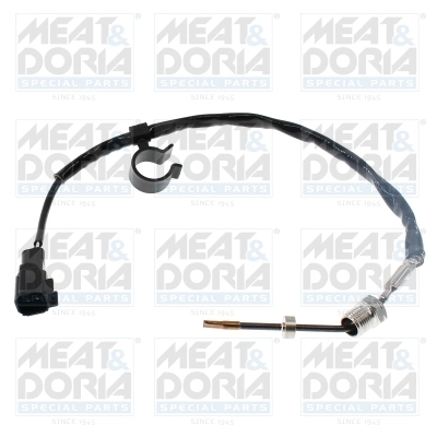 Andur, heitgaasitemperatuur MEAT & DORIA 12776