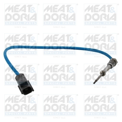 Andur, heitgaasitemperatuur MEAT & DORIA 12530
