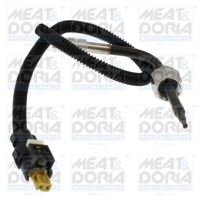Andur, heitgaasitemperatuur MEAT & DORIA 12831