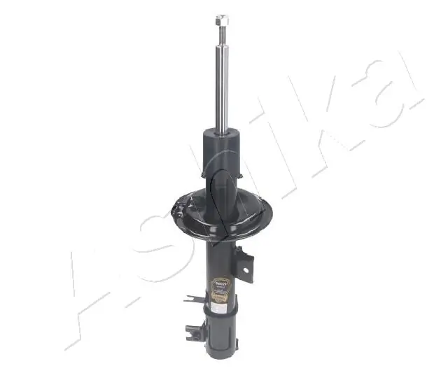 Amort ASHIKA MA-80020
