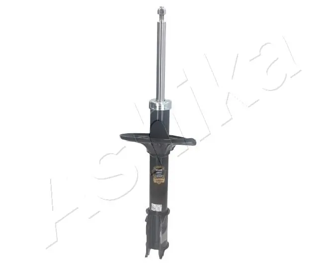Amort ASHIKA MA-50030