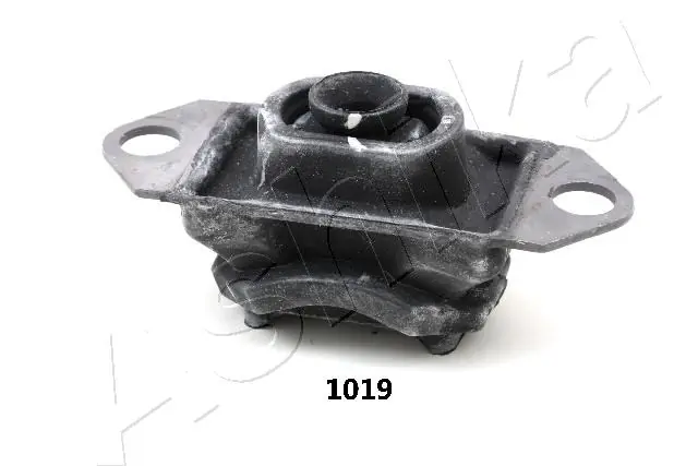Paigutus, Mootor ASHIKA GOM-1019