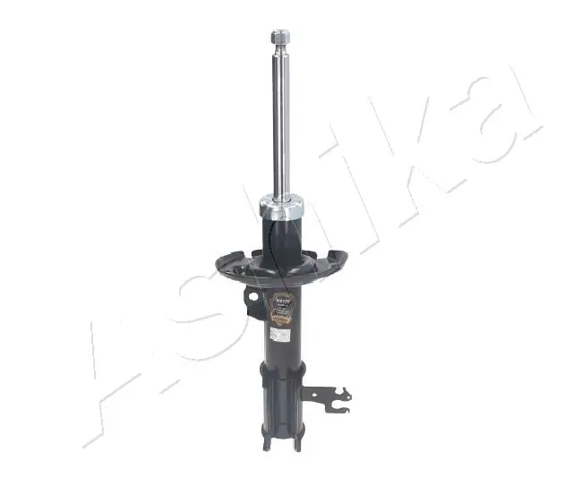 Amort ASHIKA MA-00170